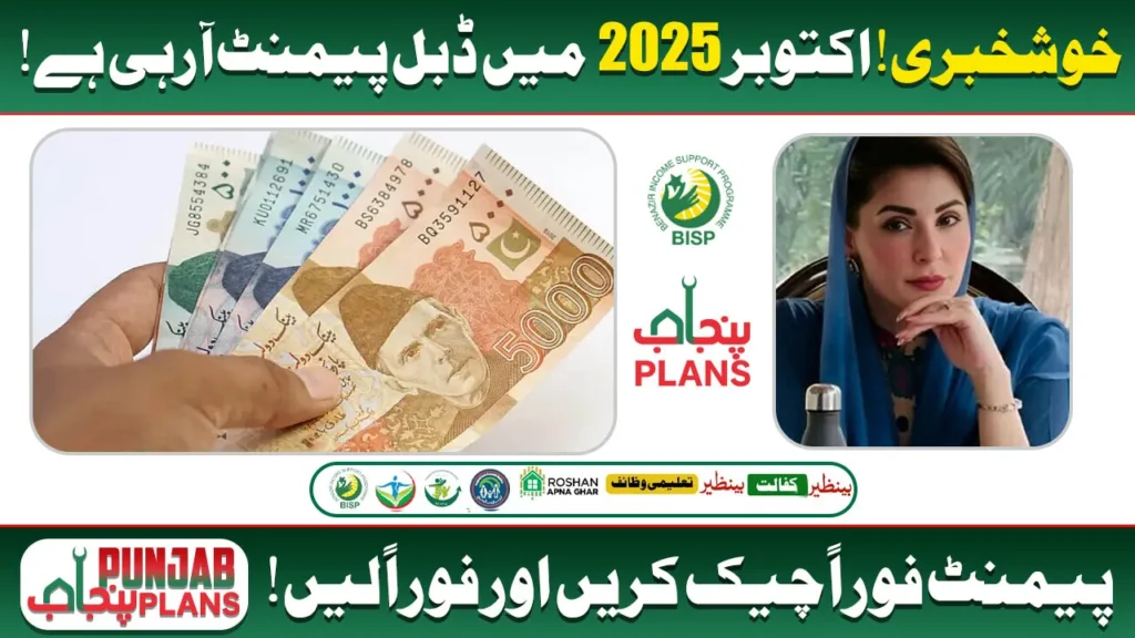 BISP 8171 Double Payment