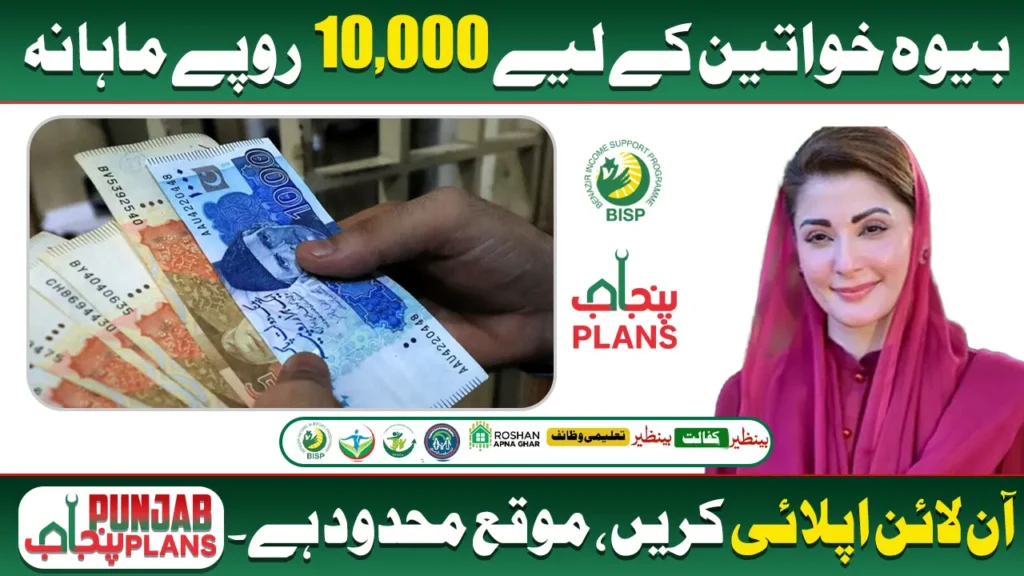 CM Punjab Bewa Sahara Program