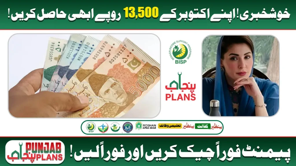 Check Your BISP 8171 Payment 13500 Status for October 2025