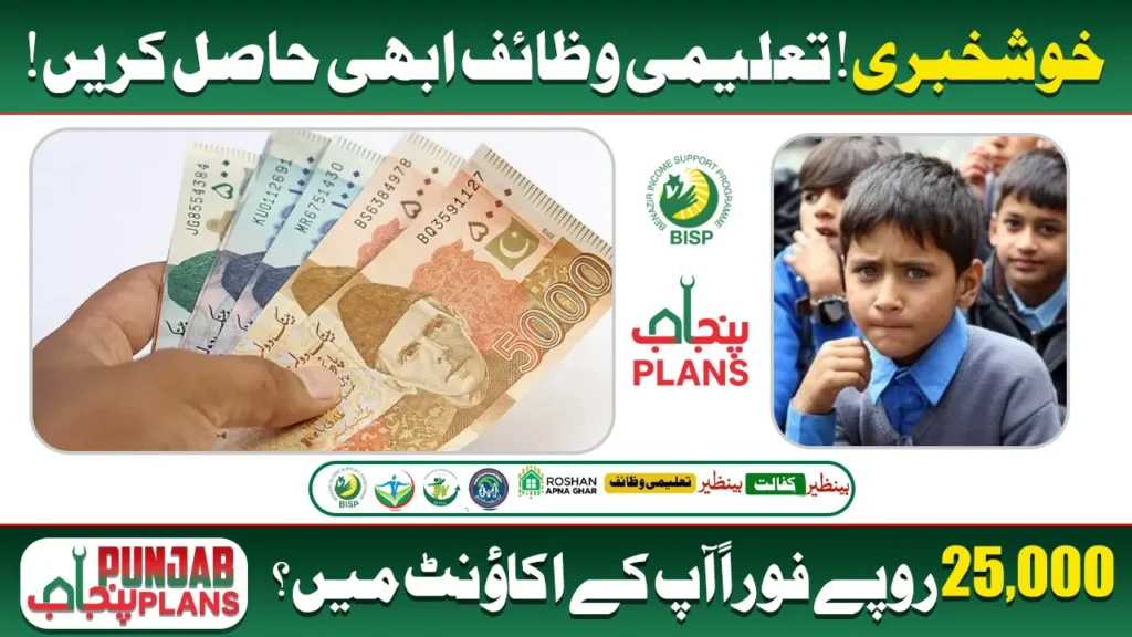 benazir taleemi wazaif check online